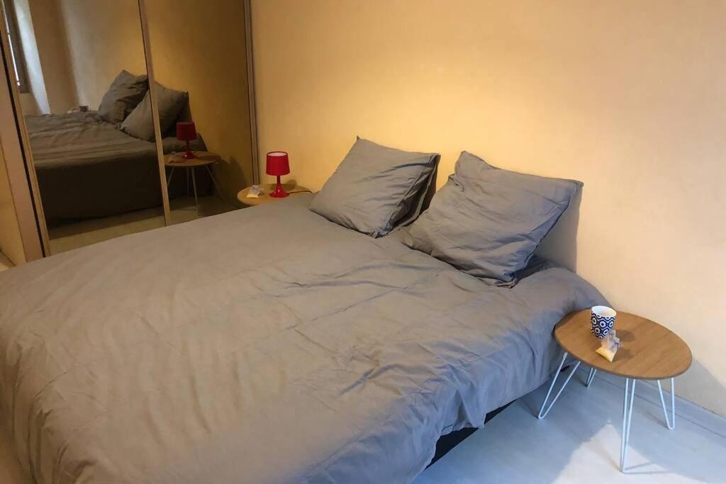 דירות Le Puy-en-Velay F3 - Neuf - 4/6 P - Lits King Size - Wifi - Cour מראה חיצוני תמונה
